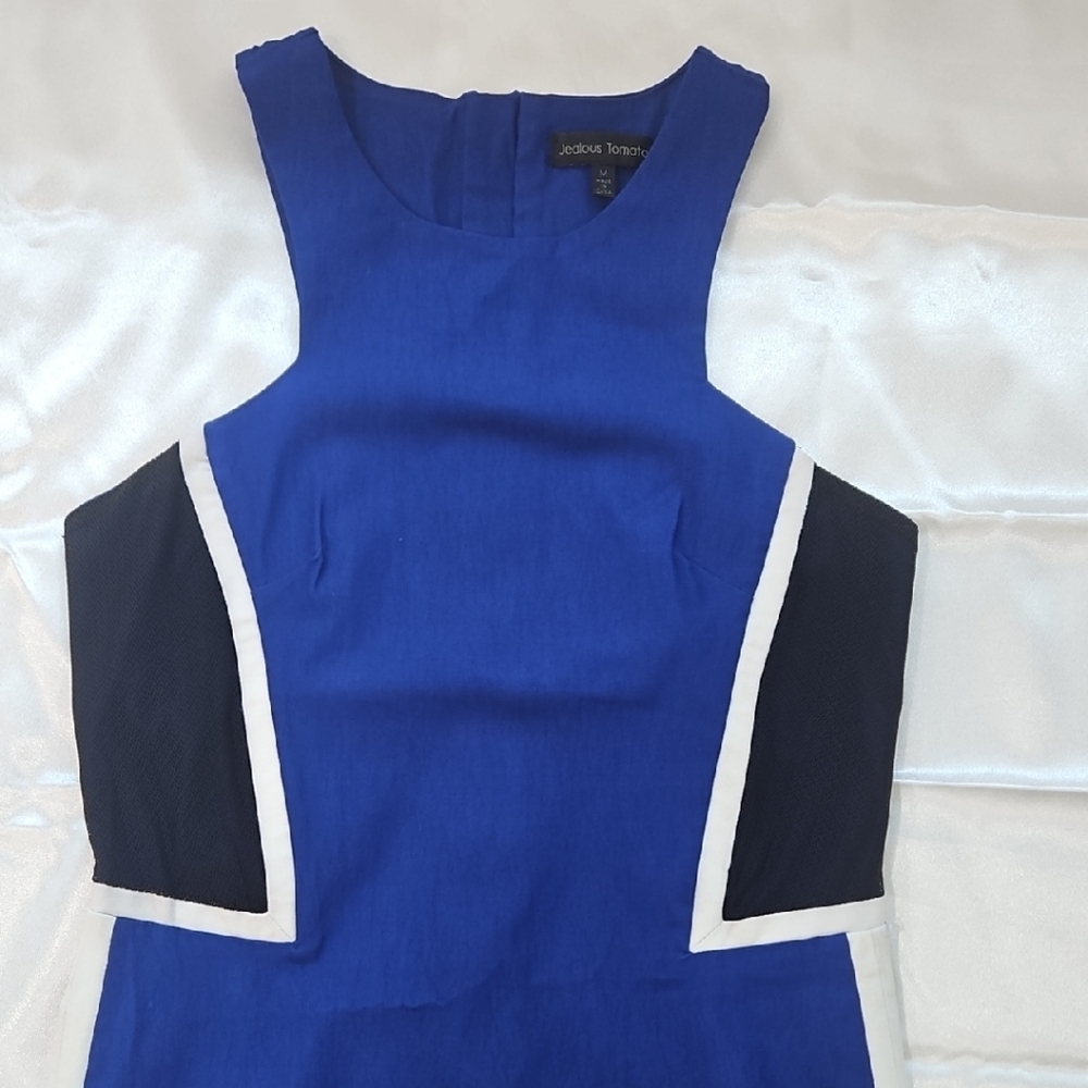 Jealous Tomato Royal Blue and Black Mini Dress